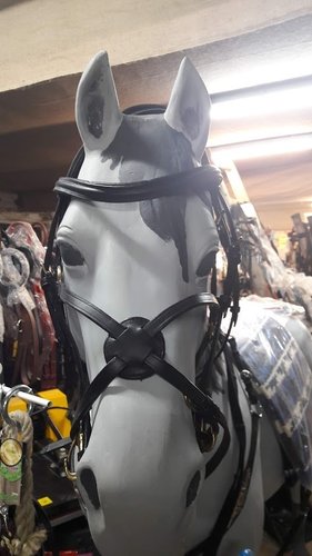 bridle with Mexican halter
