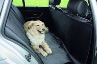 Hunde Transport