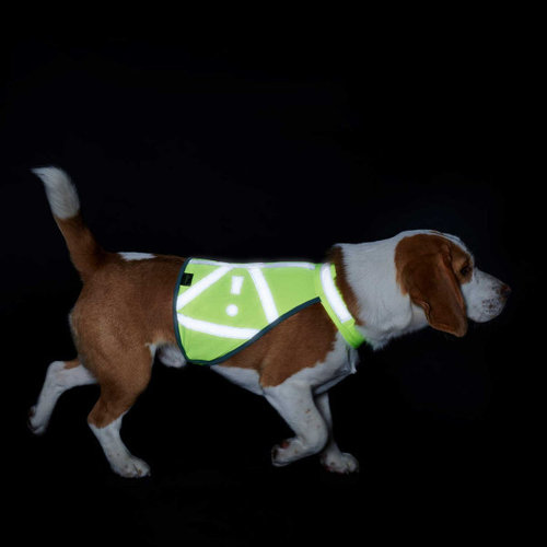Warning vest for dogs