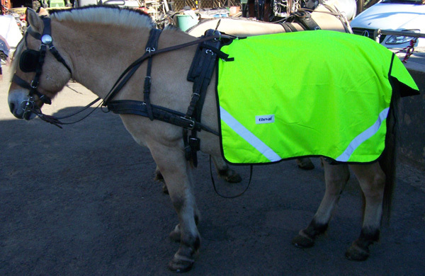 Harness blankets at pferdeladen.eu