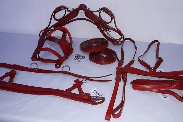 shetland single harness red