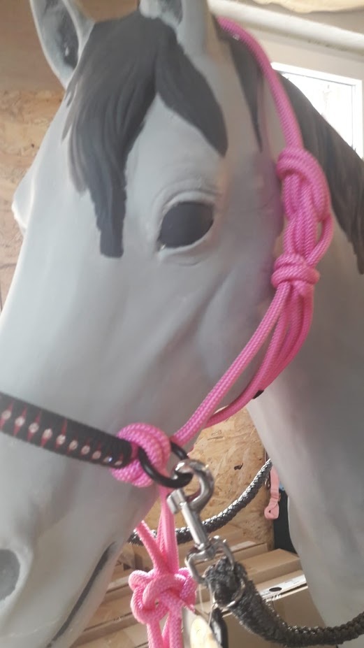 Retrofit rein rings for knotted halter