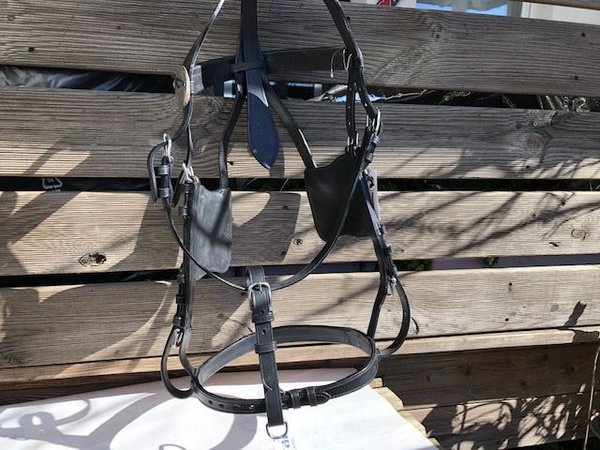 Driving bridle safety straps