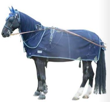 EQuest Fly Harness blanket