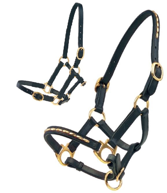 Pasture - and stable halter from leather mini