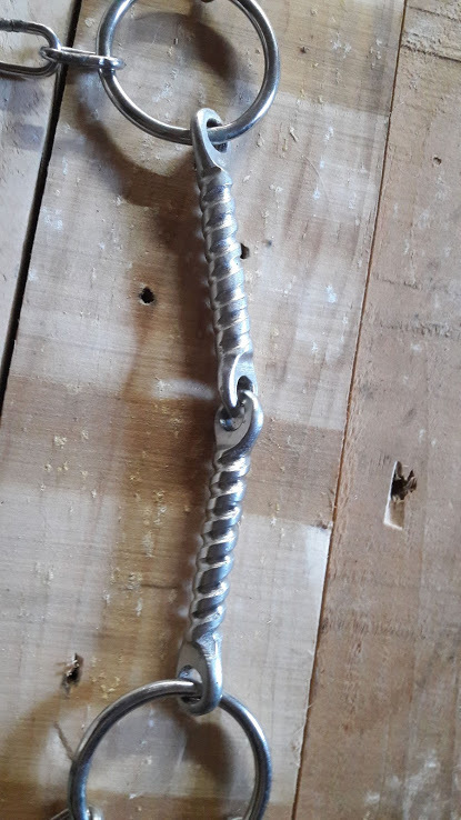 Twisted stainless steel gag bit