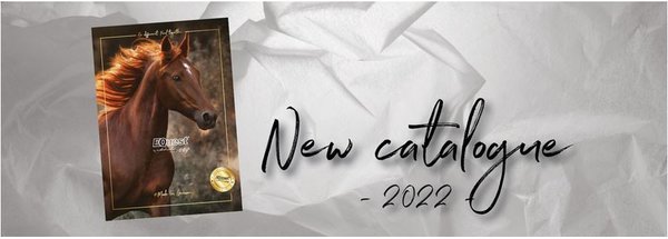 EQuest Katalog 2022 - online-