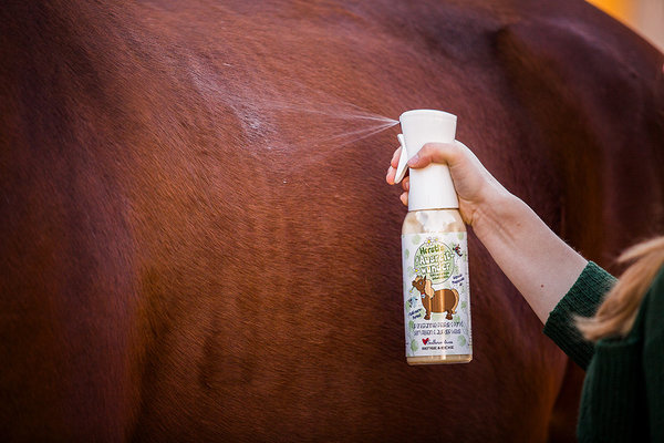 Horsti's #riding miracle - 100% effective fly protection!!!