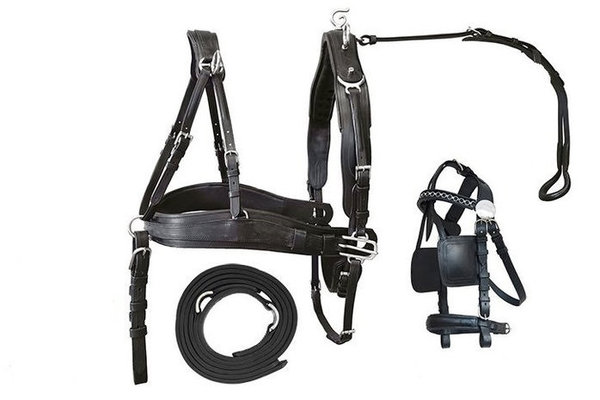 Double horse harness BigBoy