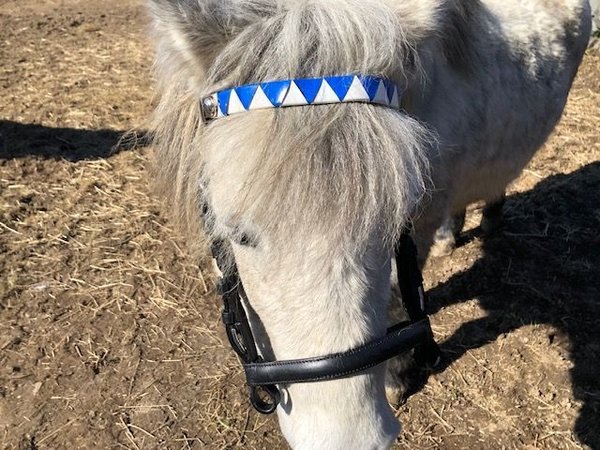 Vintage bridle without flaps with colored browband