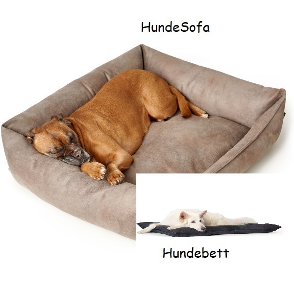 Hunde Schlafplatz Serie Bologna - Sofa und Kissen von Hunter