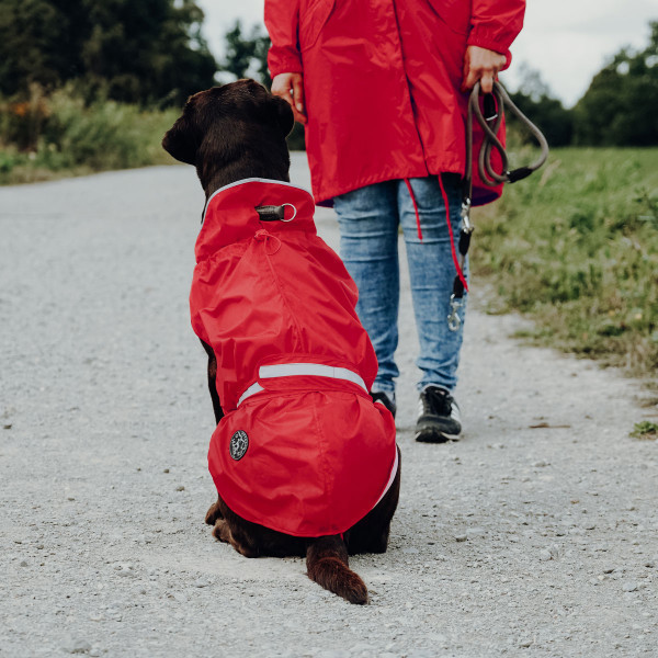 Dog raincoat Uppsala Rain