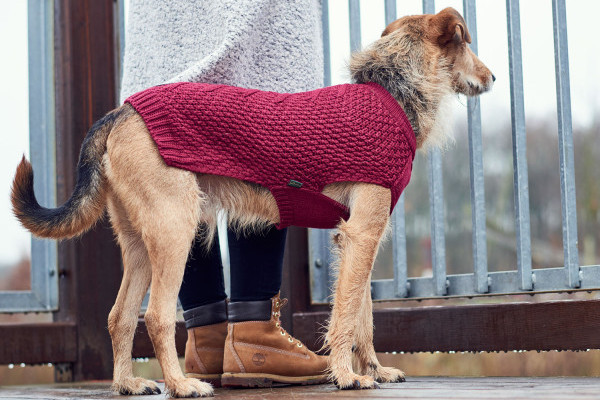 Hundepullover Malmö mit tollem Strickmuster Rückenlänge 35