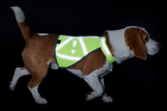 Warning vest for dogs