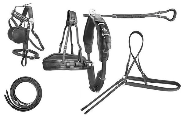 Complete biothane single harness - special item