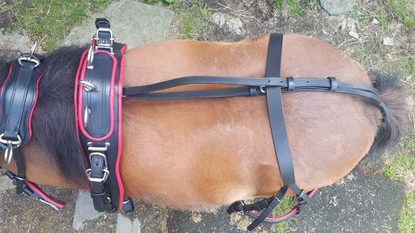 Miniline harness Red Style