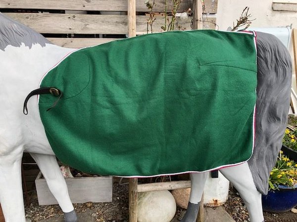 Driving fleece blanket pony